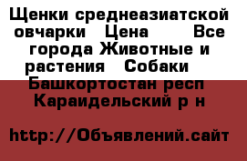 Щенки среднеазиатской овчарки › Цена ­ 1 - Все города Животные и растения » Собаки   . Башкортостан респ.,Караидельский р-н